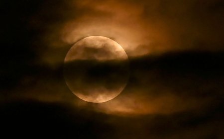 Lunar eclipse 2023: Will it be visible in India? Check date, time and more