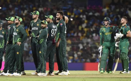 Explained: How the DRS works in case of close LBW decision