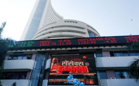 Big October crash: Try the cockroach portfolio