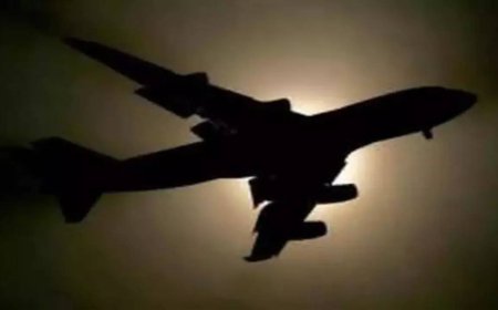 12 people die in a plane crash in the Brazilian Amazon