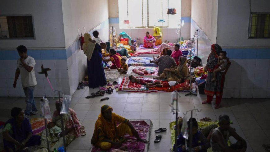 Bangladesh swamped by record dengue deaths