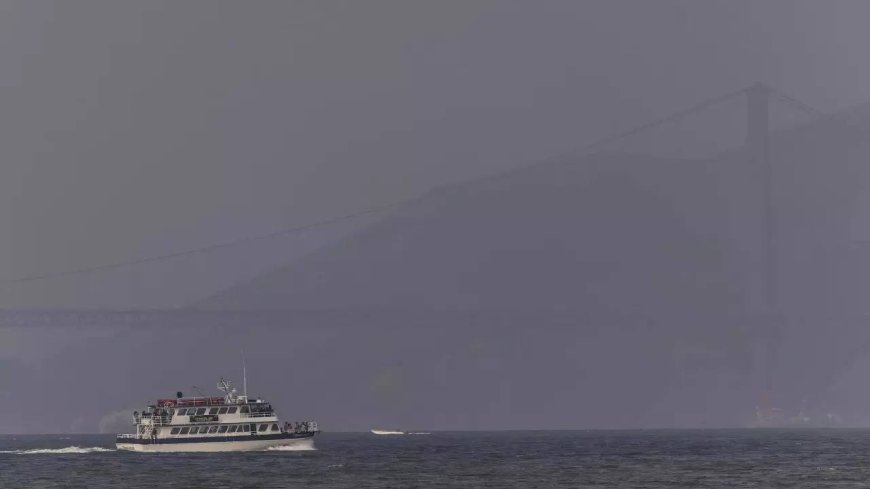 Florida's unusual hazy skies: Canadian wildfire smoke blankets the sunshine state