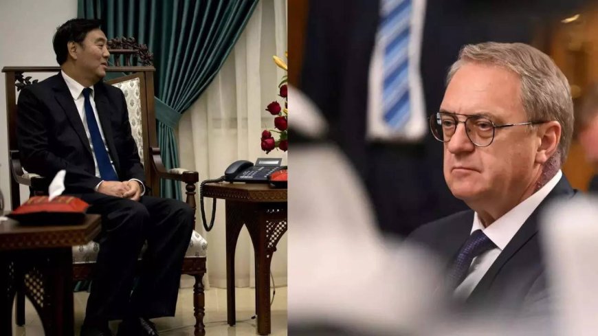 China's mideast envoy urges guarantees for Palestinians