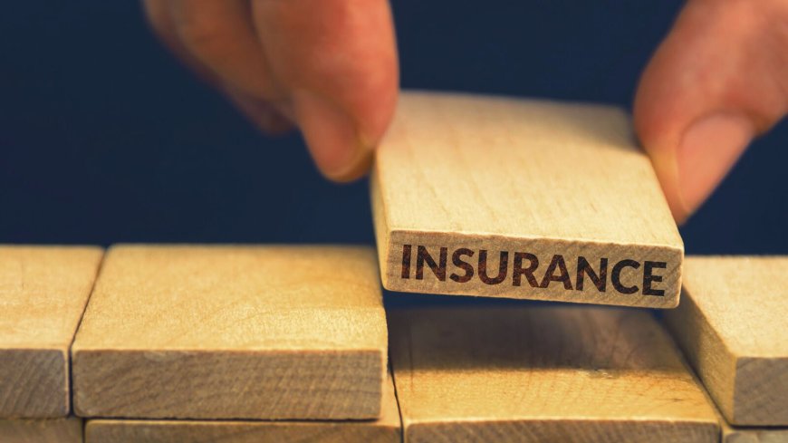 Financial services secy meets private insurers, discusses key issues