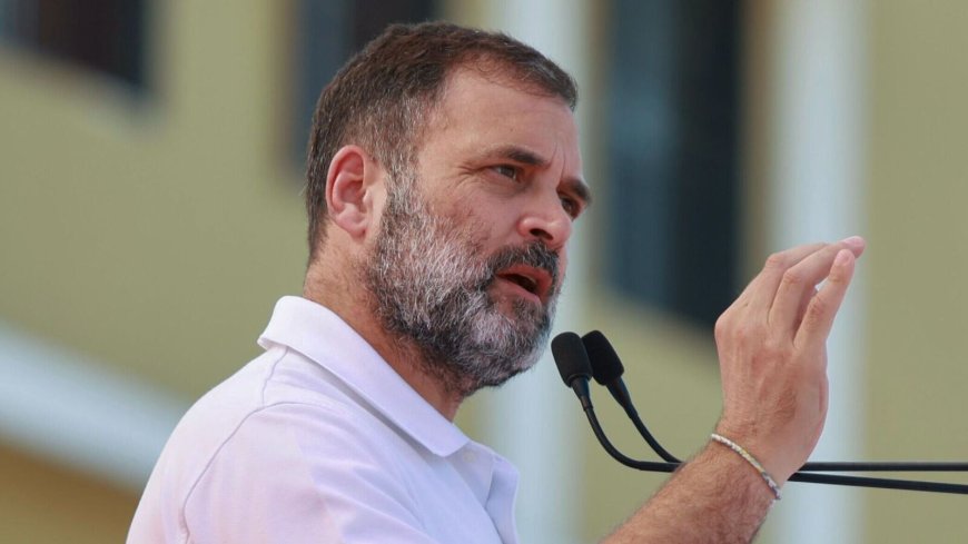 Rahul Gandhi vows caste census 'within 2 hrs' in poll-bound Chhattisgarh; BJP asks ‘will there be one in your family?’