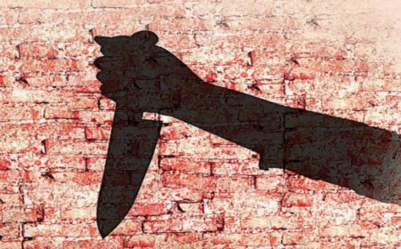 Engineer stabs course coordinator over failure to get job