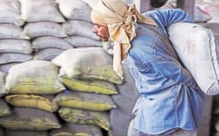 Adani-promoted Ambuja Cements share price gains post Q2 results, brokerage views mixed