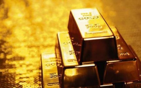 Gold prices to get support as central banks maintain historic buying in Q3: World Gold Council
