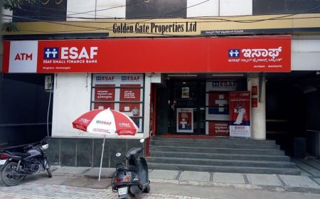 ESAF Small Finance Bank IPO raises  ₹135 crore from anchor investors; check details