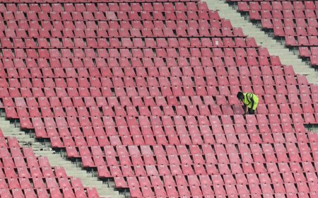 Netherlands vs Afghanistan Live Score, Cricket World Cup 2023: Toss at 1:30, bat first or bowl?