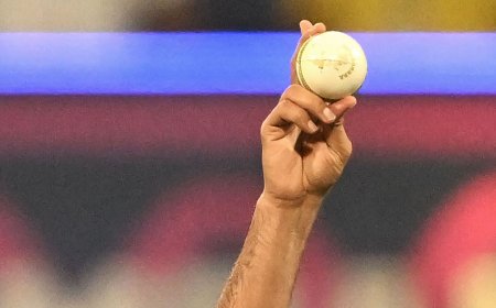 Highest wicket-taker in 2023 World Cup: Mohammed Shami storms into Top 10; check complete list