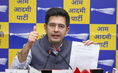 Raghav Chadha suspension: AAP leader seeks ‘early meeting’ with Dhankar to tender ‘unconditional’ apology