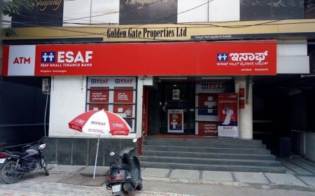 ESAF Small Finance Bank IPO: GMP, subscription status on day 2, review, other details. Should you subscribe?