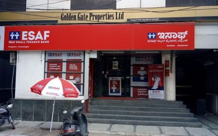 ESAF Small Finance Bank IPO day 3: Issue subscribed over 73 times, retail portion booked 16.97 times