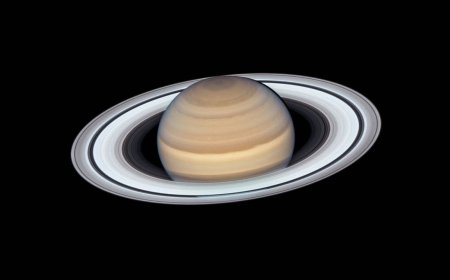 Saturn's rings to 'disappear' by 2025, but they will be back