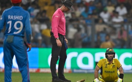 ‘Wounded lion most dangerous’: Memes galore on X as Glenn Maxwell hits epic double century despite in pain