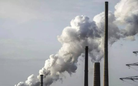 China says 'positive results' reached in climate talks with US