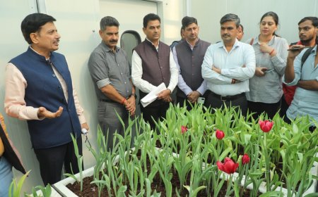 NDMC Tulip Mission – Tulip Growth cum storage Cold Chamber installed at Lodhi Garden.