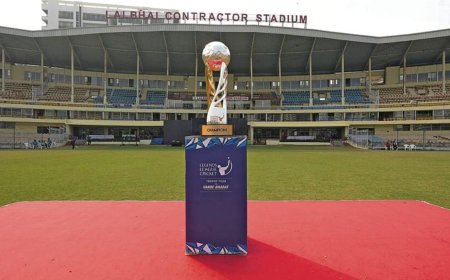 T20 cricket league LLC to raise $10mn