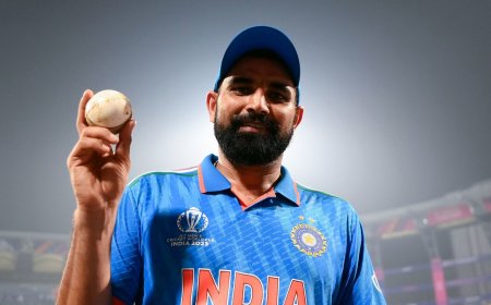 World Cup 2023 top wicket-takers: Mohammed Shami at 1st place, two other Indian bowlers in top 10; check others on list