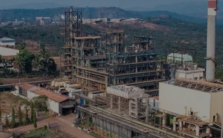 Q2 results review: Galaxy Surfactants, Vinati Organics, other Specialty chemical firms may have a better second half