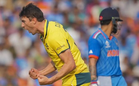 How Australia enjoyed the silent stadium after Virat's wicket