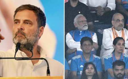 'We were winning WC but panauti ...': Rahul's dig at PM