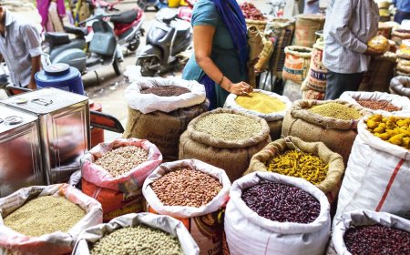 Cost of living LIVE updates Nov 23: Fuel rate today