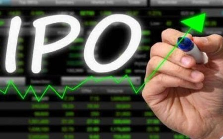 Tata Technologies IPO vs IREDA IPO vs Flair Writing IPO vs Gandhar Oil IPO: Experts unveil this investment strategy