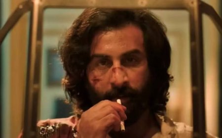 Ranbir Kapoor and Prabhas to team up?