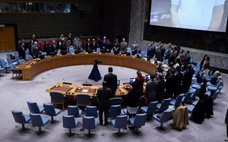 Global watchdog urges UN Security Council to consider all options to protect Darfur civilians