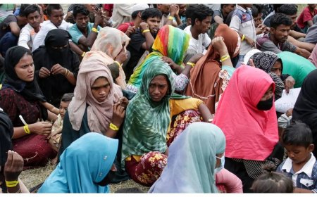 Gangs, extortion in Bangladesh camps driving Rohingya sea exodus