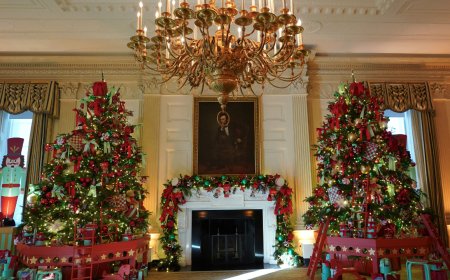 White House ditches Biden grandkid stockings after finally acknowledging Hunter love child