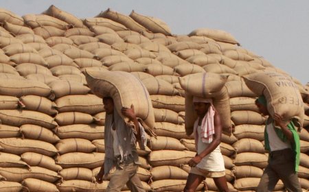 Cabinet approves Garib Kalyan food grain programme for another 5 years