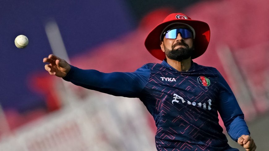 ICC World Cup 2023: Who’ll win Netherlands vs Afghanistan match? Prediction, fantasy team, pitch report and more