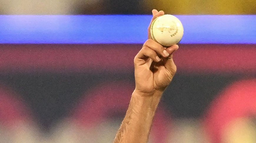 Highest wicket-taker in 2023 World Cup: Mohammed Shami storms into Top 10; check complete list