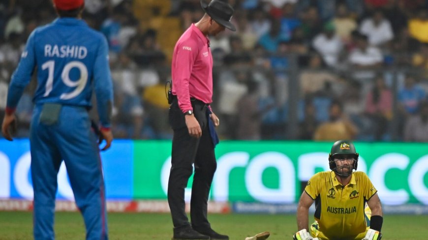 ‘Wounded lion most dangerous’: Memes galore on X as Glenn Maxwell hits epic double century despite in pain