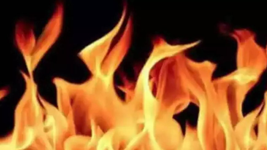 Fire breaks out in Mumbai building; 5 rescued