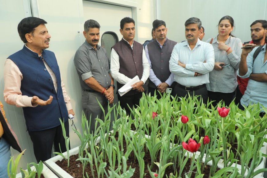 NDMC Tulip Mission – Tulip Growth cum storage Cold Chamber installed at Lodhi Garden.