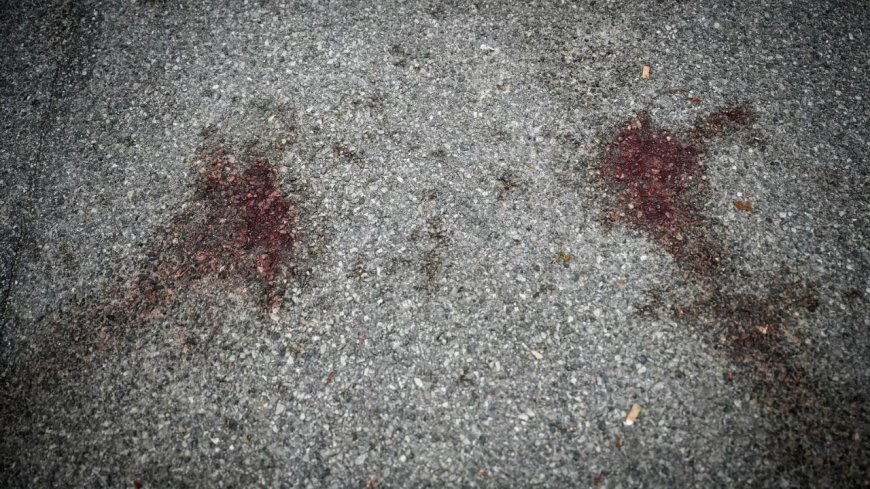 Six remanded in custody over killing of French teenager