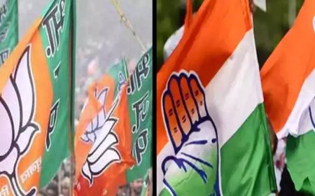 C'garh: Who's winning it for BJP, Cong? List of leading candidates