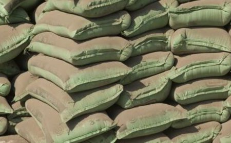 One step at a time: UltraTech moves steadily towards its goal