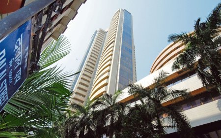 Mcap of nine most valued firms up  ₹1.30 lakh crore; Bharti Airtel, TCS among biggest gainers