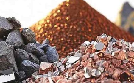 Launching of Critical Mineral Blocks Auction