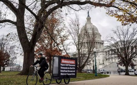 US Senate blocks Ukraine, Israel aid in row over immigration