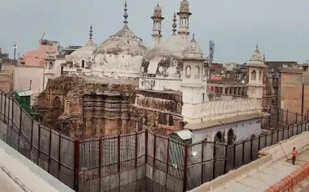 One of the 3 plaintiffs in 1991 Gyanvapi case passes away