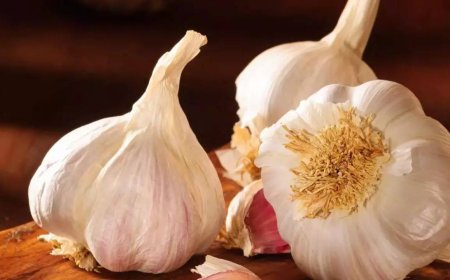 After onion, garlic now gets costlier, prices hit Rs 400/kg