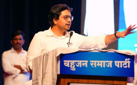 Akash Anand is Mayawati's successor in BSP: 5 things to know about him