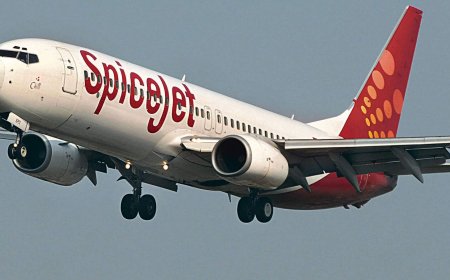 SpiceJet shares close to 52-week high after allotment of preferential issue. Buy, sell or hold?
