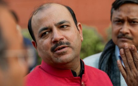 Parliament security breach: SR Parthiban's suspension revoked after Danish Ali says one MP 'was not even present'